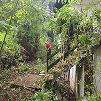 čišćenje zapuštenog placa na Avali